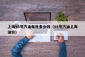 上海95号汽油每升多少钱（95号汽油上海油价）